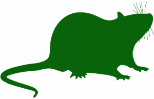 Death to Pests rodent control image