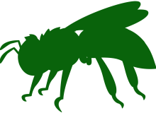 Death to Pests small wasp image